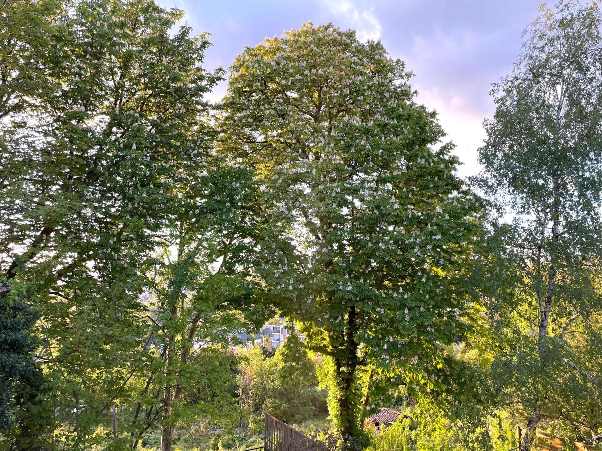 Sara Home Chennevières-sur-Marne エクステリア 写真